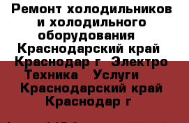 Ремонт холодильников и холодильного оборудования - Краснодарский край, Краснодар г. Электро-Техника » Услуги   . Краснодарский край,Краснодар г.